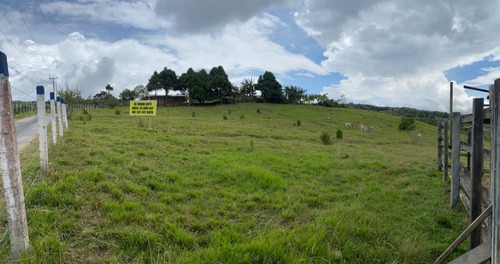 Imagen 2 de 14 de Lote De Terreno