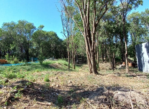 Imagen 3 de 3 de Lote 300 M2 Villa Catalina Con Escritura. Plano