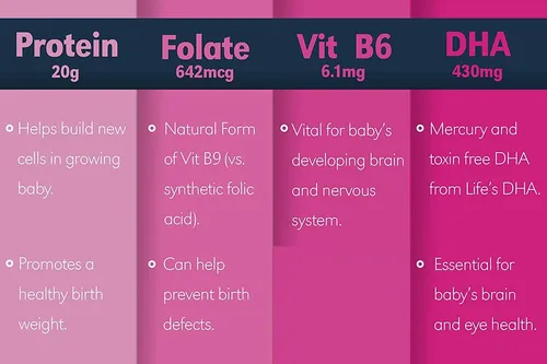 Batido De Proteínas Prenatal De Chocolate Moca Natural Alto