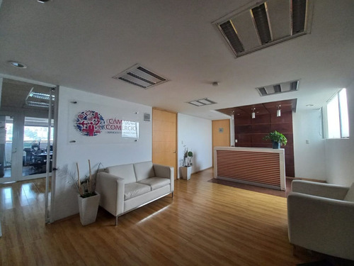 Oficinas En Renta  En Colonia Amor