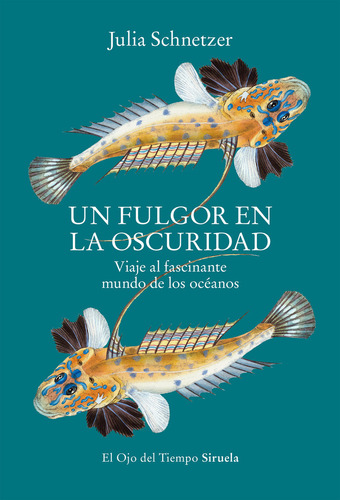 Libro Un Fulgor En La Oscuridad - Schnetzer, Julia