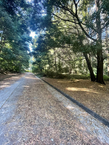 Terrenos En Venta Lo Pequen, Alto Concepción