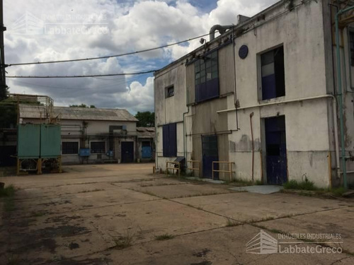 Imagen 10 de 14 de Depósito - Villa Martelli