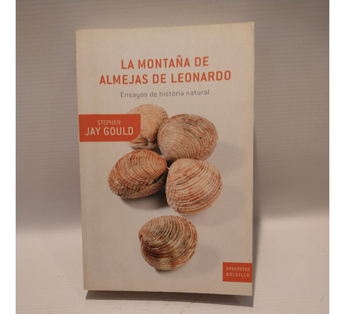 La Montaña De Almejas De Leonardo Stephen Gould Drakontos