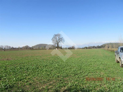 Imagen 4 de 27 de Parcela Agrícola En Venta En Paine
