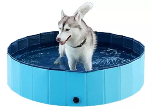 Piscina Plegable Para Perros 80 X 20 Cm Verano / Codystore