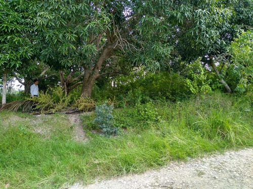 Venta Terreno 773 M² Col. El Naranjal Tuxpan Veracruz