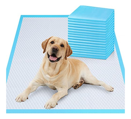 Almohadillas Para Orina De Cachorro De Entrenamiento Azul