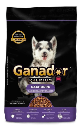 Alimento Ganador Premium para perro cachorro de raza mediana y grande sabor mix en bolsa de 20kg