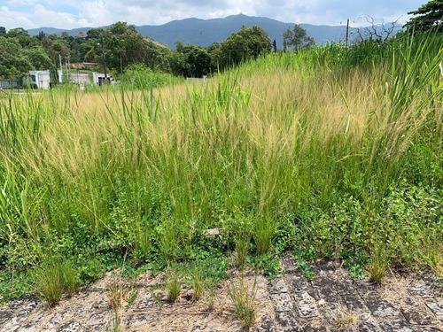 Imagem 6 de 15 de Terreno Para Venda Em Rio De Janeiro, Santíssimo - 011_2-179827