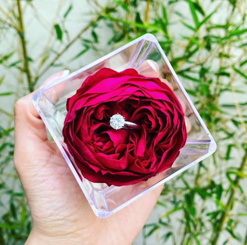Peonia Roja Eterna Natural Preservad Regalo | Meses sin intereses Peonia Roja Eterna Natural Preservad Regalo | Meses sin intereses