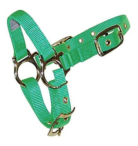 Hamilton Sheep Halter Con Correa Ajustable Chin, 3/4 Pulgada