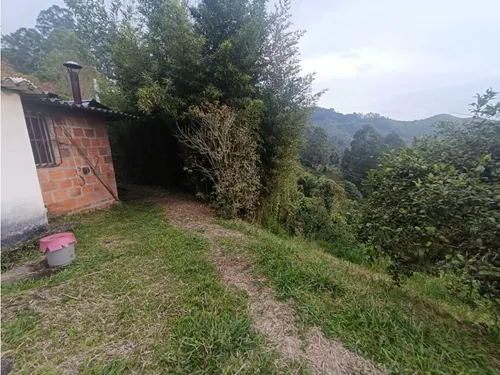 Se Vende Finca En Salento - Quindío
