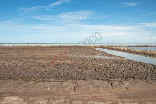 Imagen 4 de 6 de Excelente Oportunidad De Tierras Colindantes A La Marisma Y Canal La Draga .