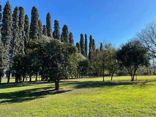 Quinta En Esperanza
