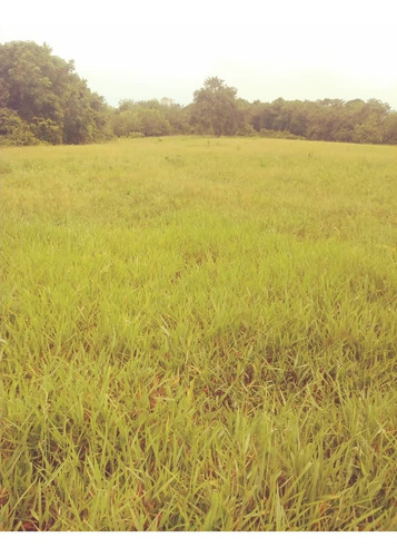 Imagen 11 de 15 de Finca En El Paguey, Barinas En Venta
