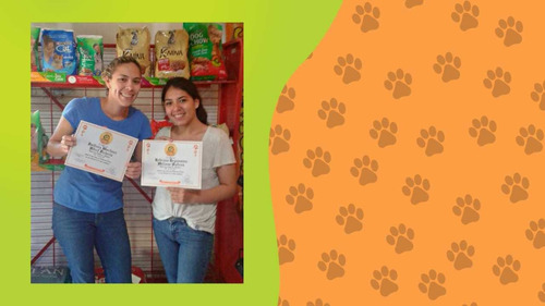 Imagen 5 de 6 de Curso Peluqueria Canina