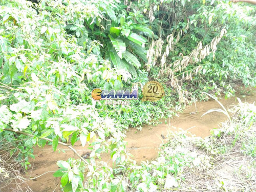 Imagem 30 de 30 de Sitio Em Itariri Com Muita Área Verde, Próximo Ao Centro - V7719