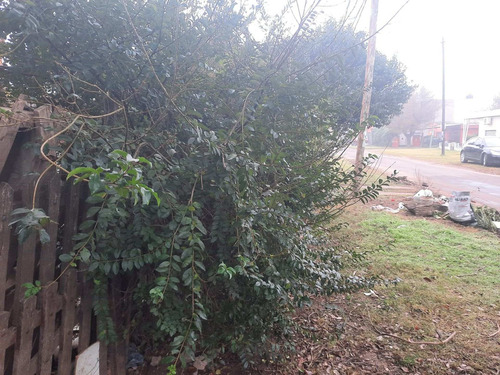 Imagen 4 de 8 de Venta Lote C/mejoras Los Polvorines(b° Los Pinos)