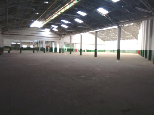 Imagem 4 de 17 de Galpâo Para Locaçâo No Parque Novo Mundo - Gl00147 - 71006544