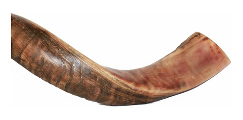 Imagem 3 de 8 de Shofar De Chifre Antilope + Capa + Brindes - De Israel #j3