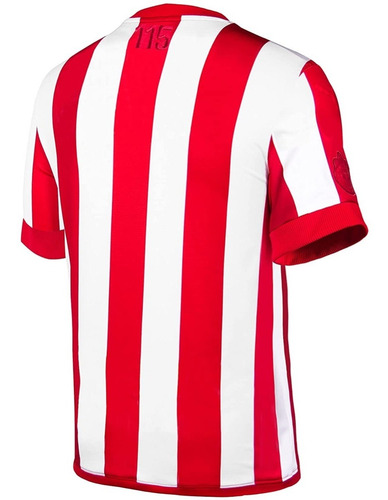 Imagen 2 de 4 de Jersey Puma De Chivas Para Niños Edición Especial 115 Años