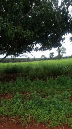 Fazenda Com 178 Hectares Rica Em Agua Em Felixlandia Mg - 36425