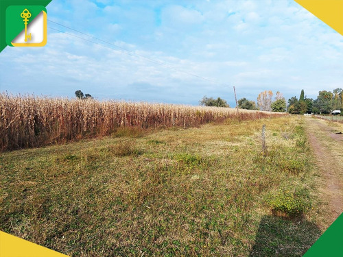 Imagen 16 de 18 de Campo En Venta En Roque Pérez