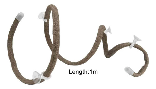 3 Terrario Reptiles Enredaderas Selva Escalada Style C