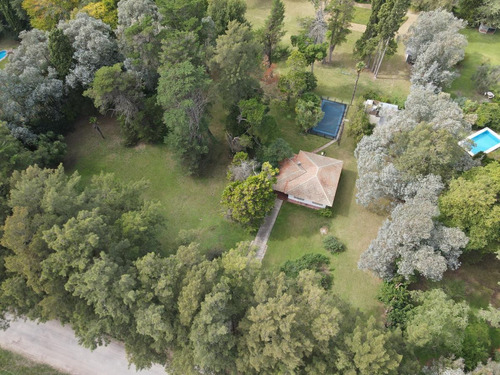 Imagen 19 de 20 de Quinta En Venta En Abasto 4180 Mts. Con Muy Buena Forestación