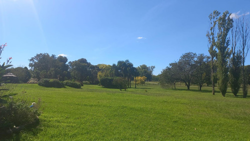 Campo En Fatima
