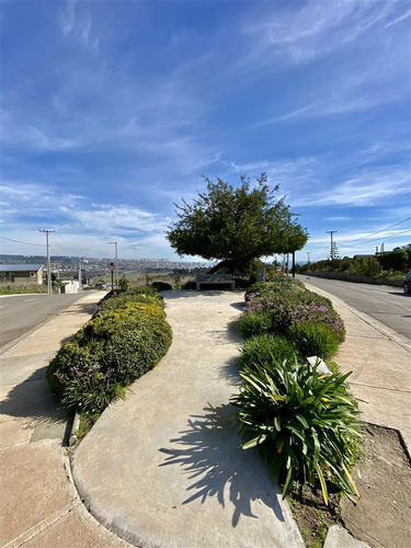 Sitio En Venta En Concón. Barrio Privado Lomas Del Mauco