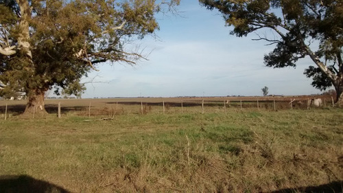 142 Hectareas Mixtas En Navarro