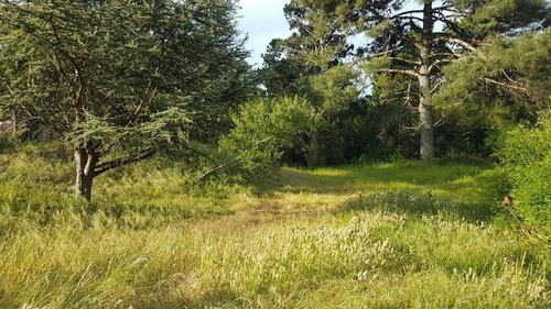 Terreno - Golf Viejo