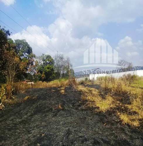 Finca 58 Hectareass, 90% Plana , Agua, Electricidad , Documentos En Bejuma Carabobo 2