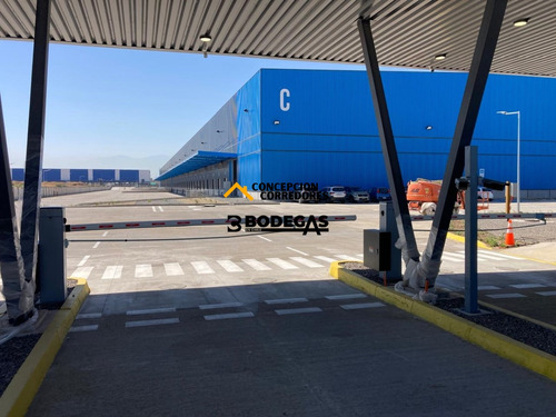Arriendo Bodega De 1.200 M2 En P. Industrial Enea, Pudahuel.