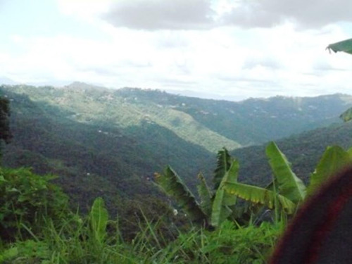Imagen 6 de 6 de Terreno San José De Los Altos La Osi 1239 M2
