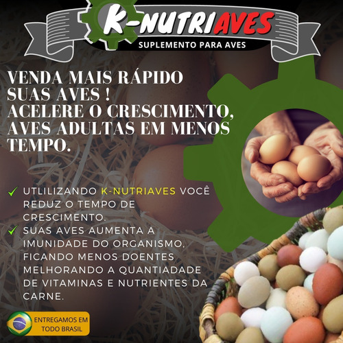 K-nutriaves Pintinho Crescimento Galinha Poedeira Postura3kg