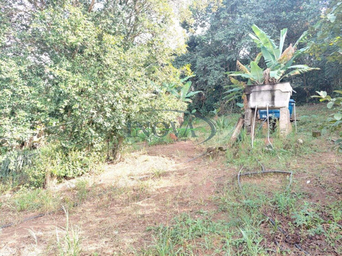 Imagem 11 de 12 de Chácara À Venda Em Chácara Parque São Pedro - Ch002245