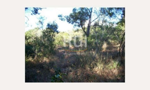 Terreno Em Teresópolis - Vi1060