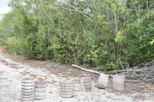 Imagen 8 de 10 de En Venta Terreno En Cancún, Colonia Doctores C2991