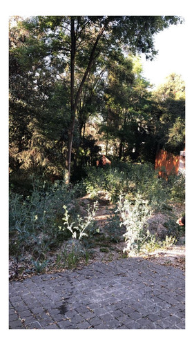 Imagen 2 de 3 de Terreno En Privada Lomas Altas