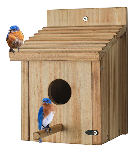 Bird House For Outsdie Invita A La Belleza De La Naturaleza 