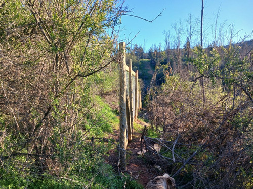 Vive En El Campo A 5 Minutos De La Ciudad De Quilpue