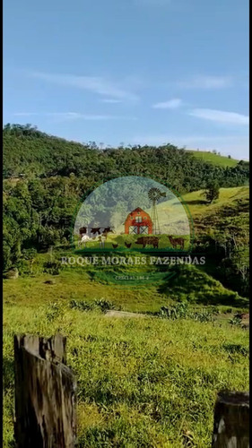 Imagem 7 de 28 de Fazenda À Venda No Vale Do Ribeira Sp Medindo 87,5 Alqueires Paulista Ref0978