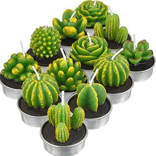 Tecunite 12 Piezas Cactus Tealight Velas Hechas A Mano Delic