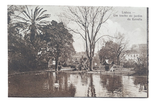 Portugal Lisboa Un Trecho Do Jardim Da Estrella Postal