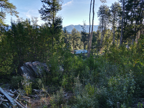 Lote Con Suave Pendiente Con Vista Al Lago Nahuel Huapi, Villa La Angostura