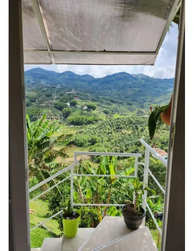 Venta De Finca En El Peñol Vereda La Helida