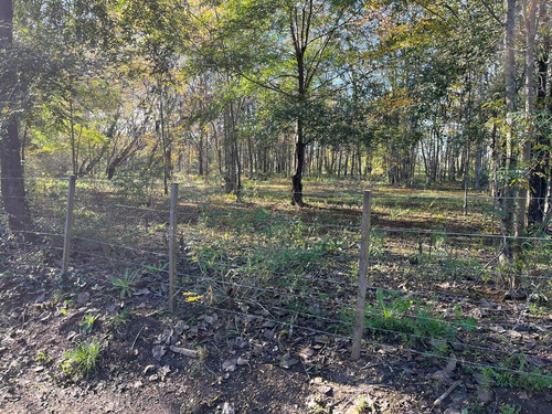 Lote En Ph En Venta En Villa Elisa